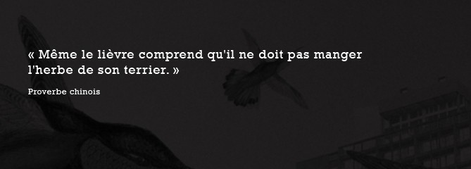 Citation_04