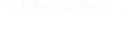 TEMPO COLOR 2016